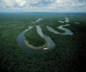 yapboz Rio Amazonas, Orta Amazon, Brezilya karmaşık korunması